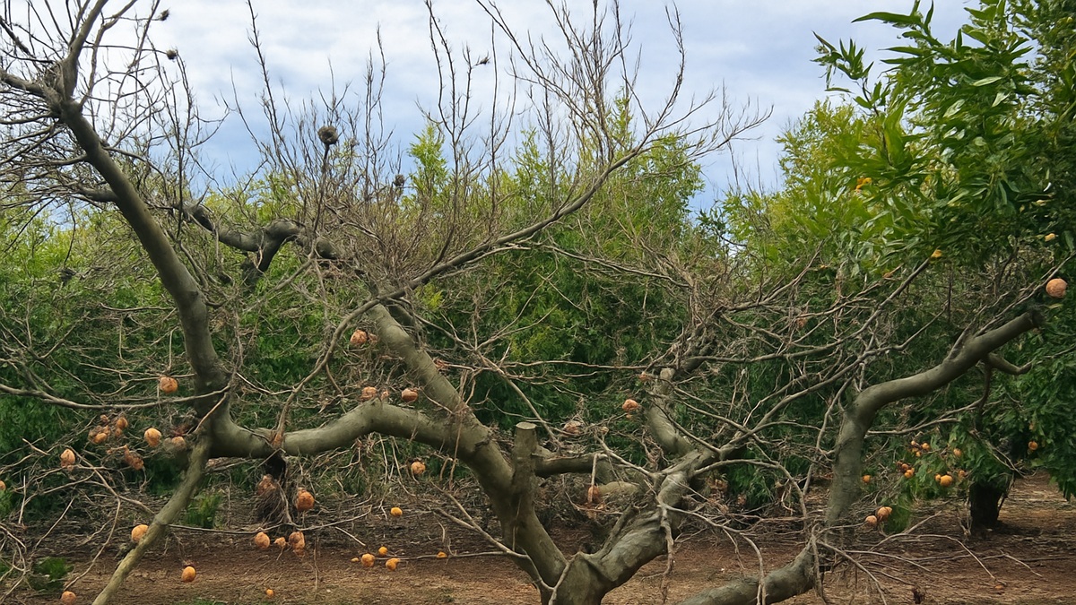 ChatGPT Image 13 nov 2025, 11_26_06.jpg